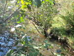 Culvert Crossing, Indian River, Columbia Falls, Maine