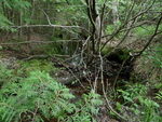 Culvert Crossing, Mosquito Brook, Otis, Maine