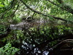 Culvert Crossing, Mosquito Brook, Otis, Maine