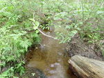 Culvert Crossing, Mosquito Brook, Otis, Maine