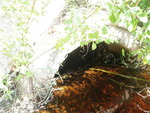 Culvert Crossing, Rankin Brook, Fletchers Landing Twp, Maine