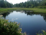 Culvert Crossing, Rankin Brook, Fletchers Landing Twp, Maine
