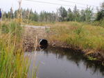 Culvert Crossing, Addison, Maine