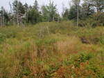 Culvert Crossing, Addison, Maine