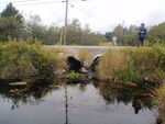 Culvert Crossing, Addison, Maine