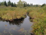 Culvert Crossing, Addison, Maine