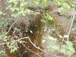 Multiple Culvert Crossing, Bragdon Brook, Blue Hill, Maine