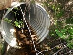 Culvert Crossing, Steuben, Maine