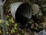 Culvert Crossing, Sedgwick, Maine