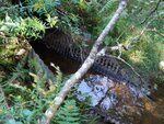 Culvert Crossing, Smell Brook, Sullivan, Maine