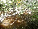 Culvert Crossing, Columbia, Maine