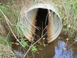Culvert Crossing, Columbia, Maine