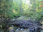 Culvert Crossing, Mill Brook, Sullivan, Maine