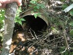 Culvert Crossing, Milbridge, Maine