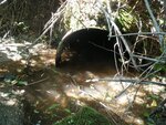 Culvert Crossing, Milbridge, Maine