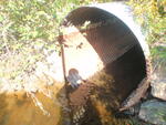 Culvert Crossing, Sullivan, Maine