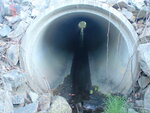Culvert Crossing, Clapham Brook, Sullivan, Maine