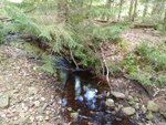 Culvert Crossing, Gouldsboro, Maine