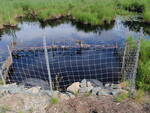 Multiple Culvert Crossing, Boggy Brook, Ellsworth, Maine