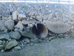 Culvert Crossing, Mill Brook, Sullivan, Maine