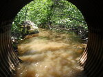 Culvert Crossing, Cole Creek, Harrington, Maine