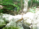 Culvert Crossing, Ellsworth, Maine
