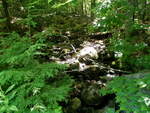 Culvert Crossing, Ellsworth, Maine