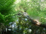Culvert Crossing, Archer Brook, Lamoine, Maine