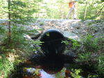 Culvert Crossing, Archer Brook, Lamoine, Maine