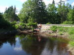 Culvert Crossing, Archer Brook, Lamoine, Maine