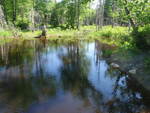 Culvert Crossing, Archer Brook, Lamoine, Maine