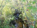 Culvert Crossing, Columbia Falls, Maine