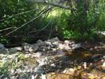 Culvert Crossing, Harrington, Maine