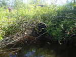 Culvert Crossing, Harrington, Maine