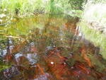 Multiple Culvert Crossing, Franklin, Maine