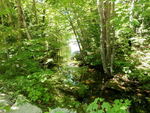 Culvert Crossing, Ellsworth, Maine