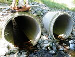 Multiple Culvert Crossing, Ellsworth, Maine