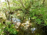 Multiple Culvert Crossing, Ellsworth, Maine