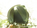 Multiple Culvert Crossing, Ellsworth, Maine