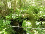 Multiple Culvert Crossing, Ellsworth, Maine