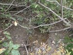 Culvert Crossing, Billings Brook, Brooksville, Maine