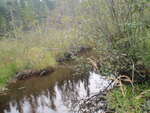 Culvert Crossing, Ingersoll Brook, Columbia, Maine