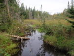 Culvert Crossing, Ingersoll Brook, Columbia, Maine