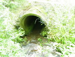 Culvert Crossing, Ellsworth, Maine