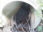 Culvert Crossing, Steuben, Maine