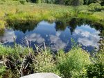 Culvert Crossing, Steuben, Maine