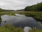 Culvert Crossing, Sucker Brook, Great Pond, Maine