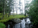 Culvert Crossing, Heath Brook, Trenton, Maine