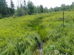 Culvert Crossing, Waltham, Maine