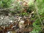 Culvert Crossing, Harrington, Maine